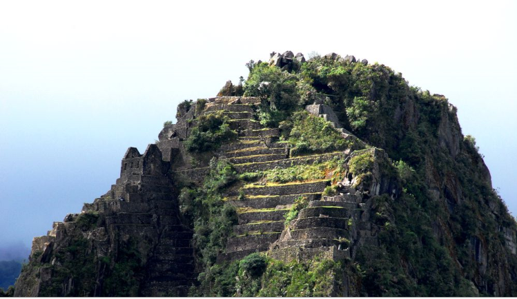 Machu Picchu#21