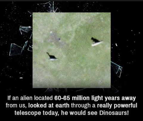 Fascinating facts#16