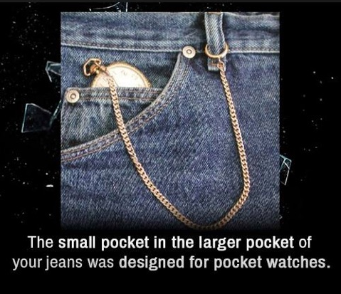 Fascinating facts#5