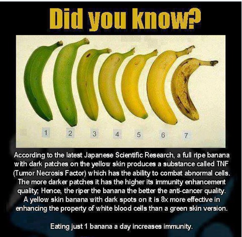 Fascinating facts#6