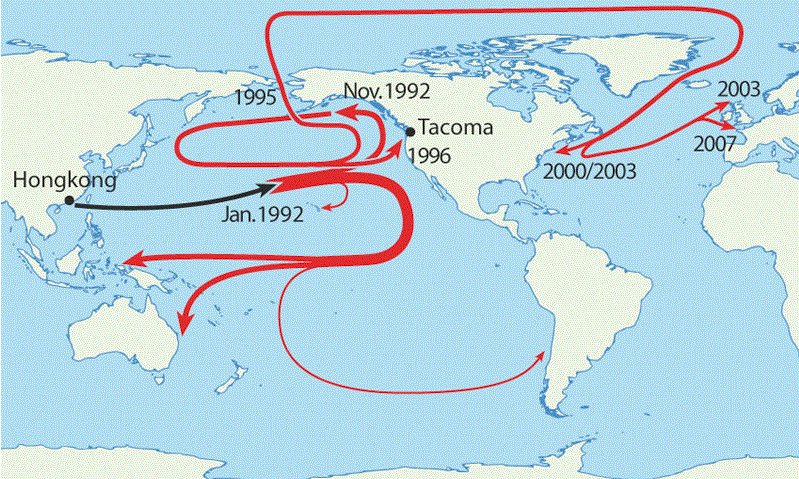 Where 29,000 Rubber Duckies Made Landfall After Falling off a Cargo Ship in the Middle of the Pacific Ocean