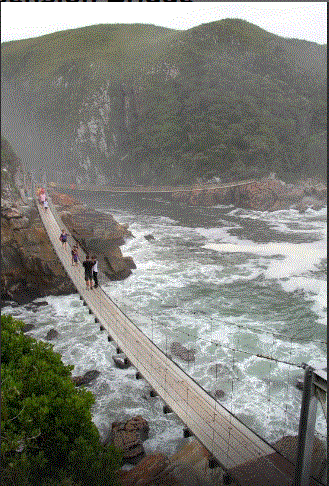 #5The Storms River Suspension Bridge