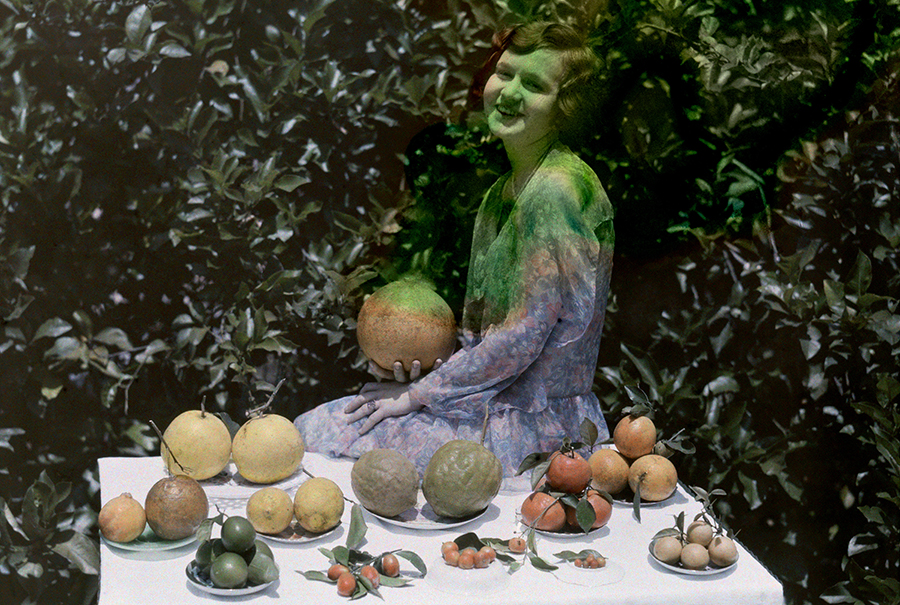 A child sits among the produce from a Florida citrus grove, 1930