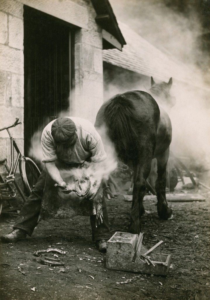 A farmer buring the hoof of a horse before shoeing it in Scotland, May 1921