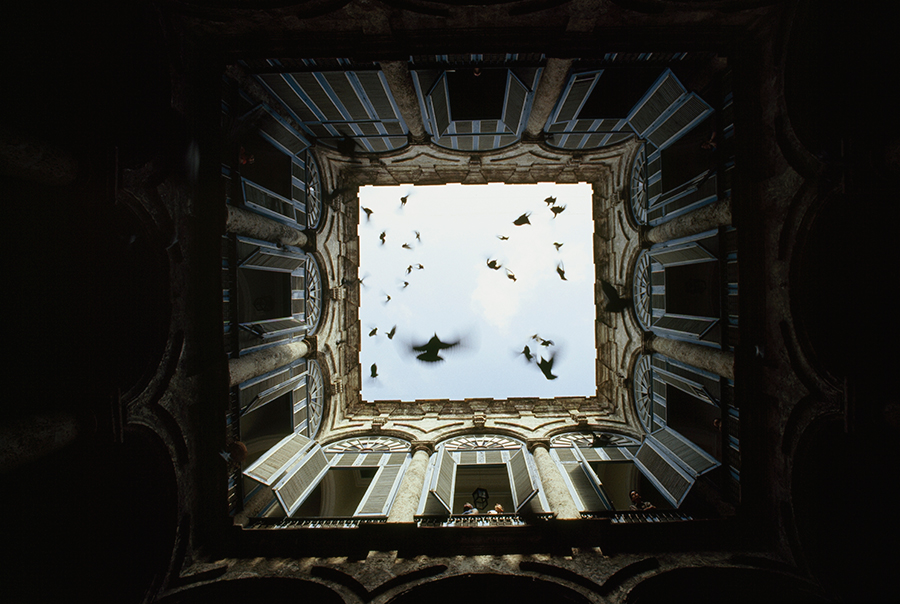 A flock of birds fly up from an enclosed courtyard in Old Havana, December 1987