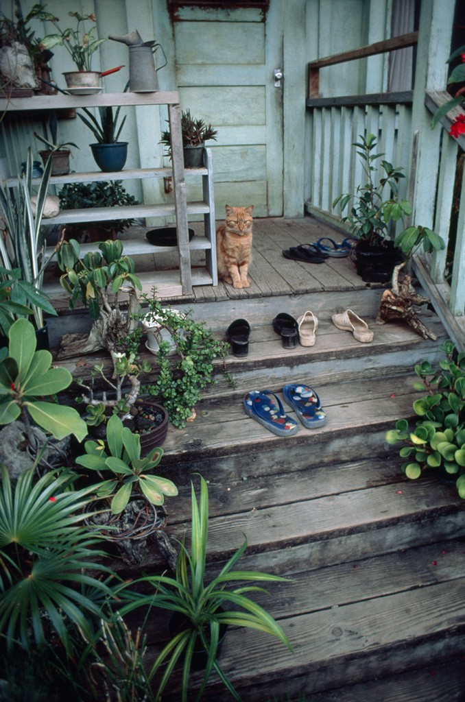 A well-worn stairway leads to a house on Oahu’s North Shore, November 1979