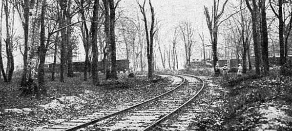 Two trains at the railway siding at Compiegne - one being Foch's personal one & the other one used by the German delegation
