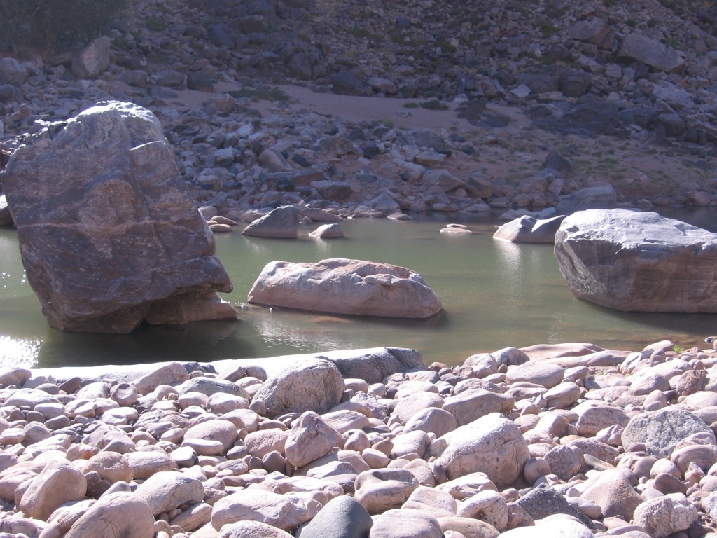 2008-08-14 (28)