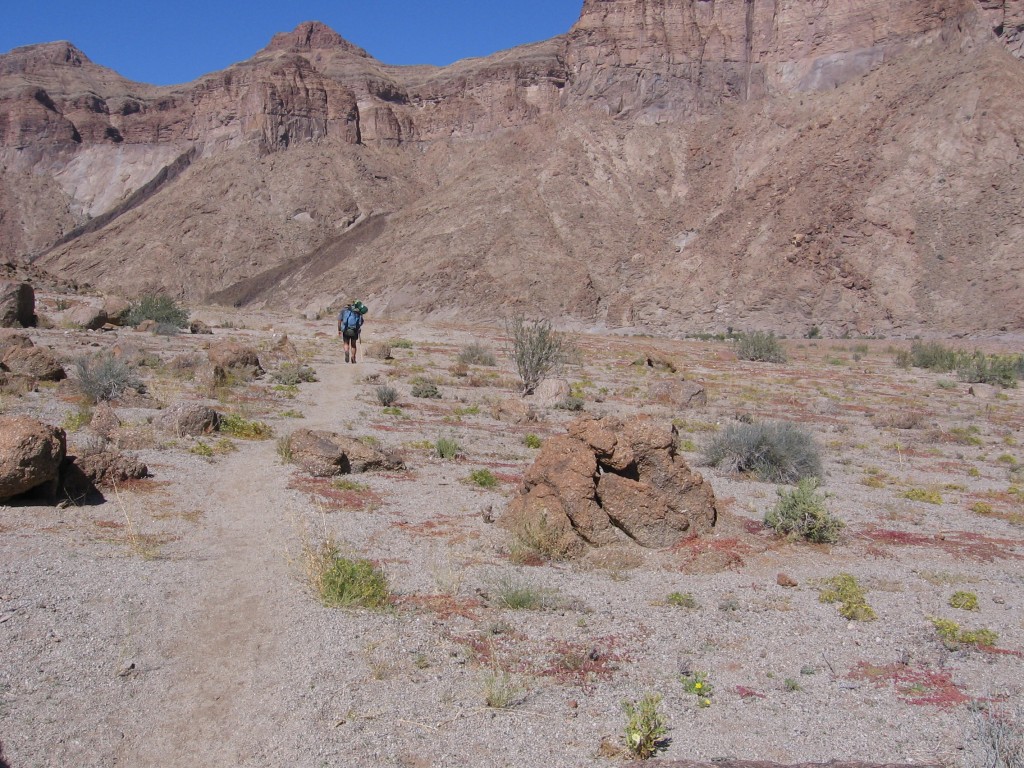 2008-08-14 (39)