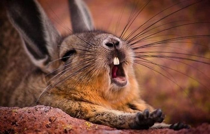 Photos without words#5