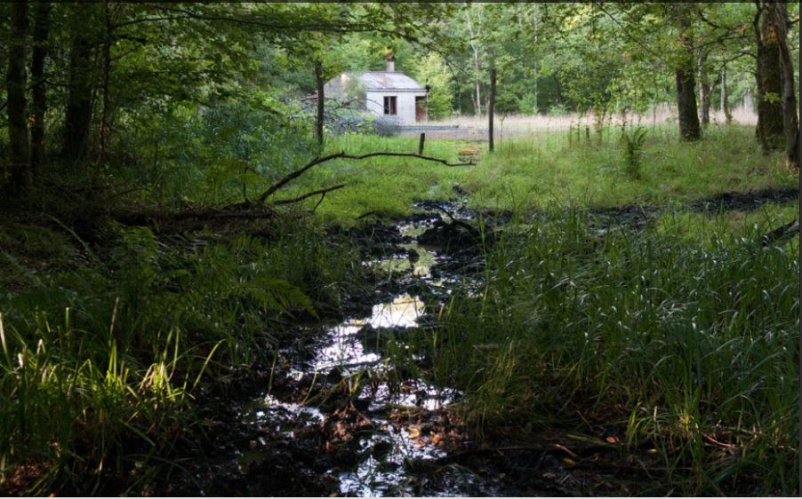 Abandoned hut