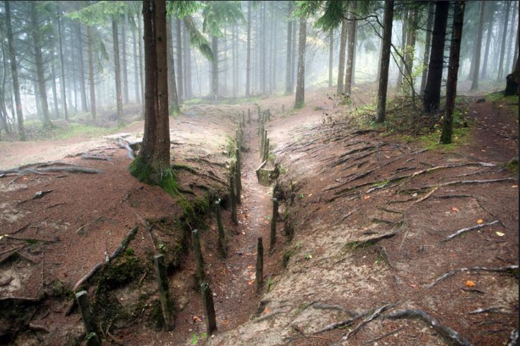 Reconstructed WW1 Trench