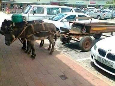 only-in-south-africa06