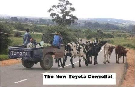 only-in-south-africa09