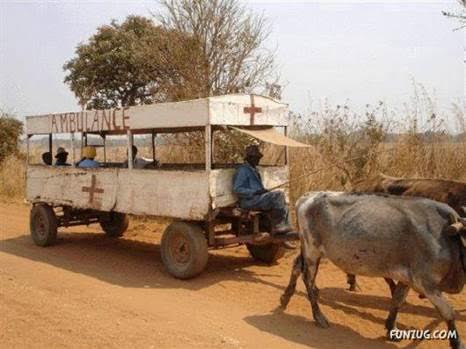 only-in-south-africa18