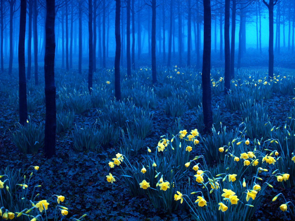 stunning-landscape-photographs-5