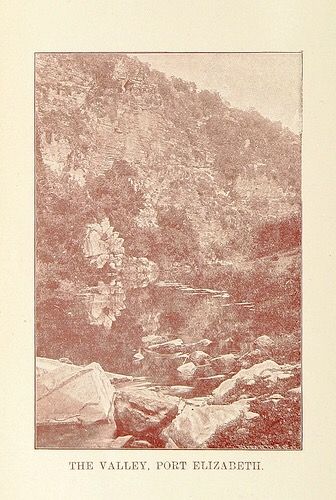 31bd275406688dbff300aafda9d4fb77