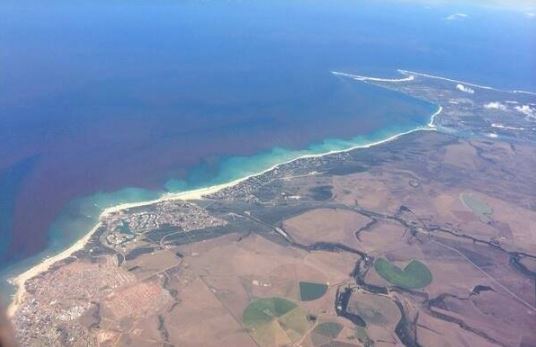 Aerial view of Summerstand and Cape Recife today showing that the dunes have been by vegetation and suburbs