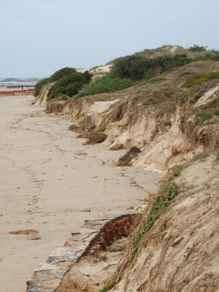 Dunes being eroded at Millers, from the end of the sea wall